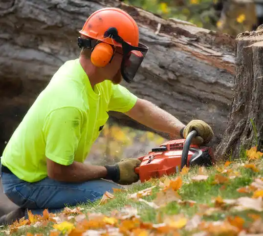 tree services Laurinburg